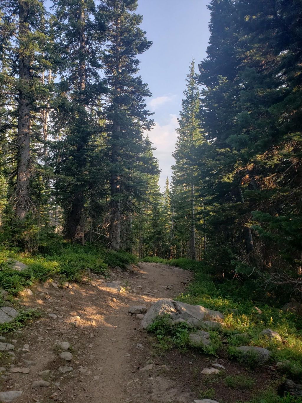 How To Change Advisors In Graduate School (with pictures) (jk I was too lazy to make&nbsp;pictures)